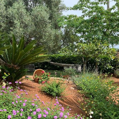 B&B All'Ombra Degli Ulivi Ostuni Εξωτερικό φωτογραφία