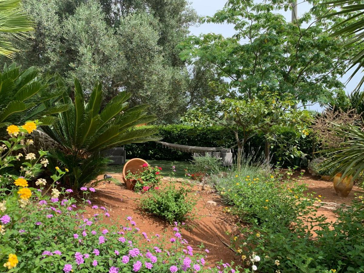 B&B All'Ombra Degli Ulivi Ostuni Εξωτερικό φωτογραφία